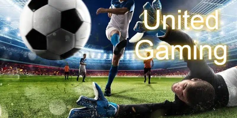 Các bộ môn hấp dẫn, nổi tiếng tại United gaming