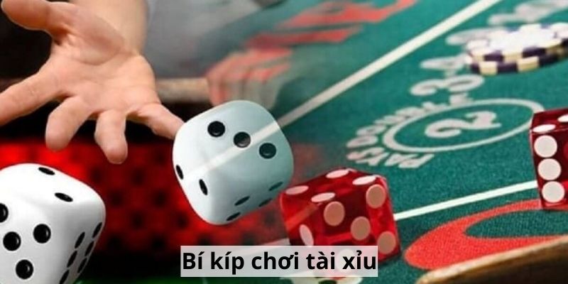 Bí kíp chơi tài xỉu